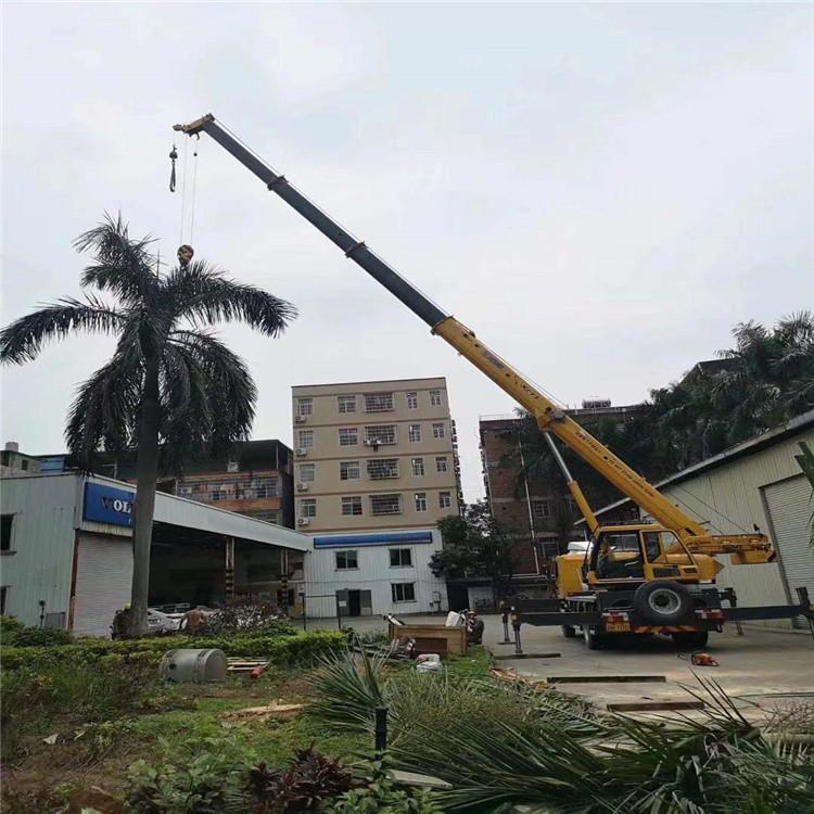 海港吊车出租事故案例分析：如何避免设备倾覆风险